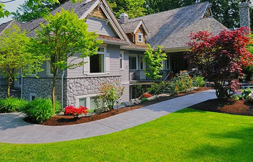 Experience that Counts! 